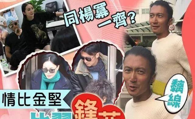 谢霆锋和王菲分手,和杨幂在一起了?