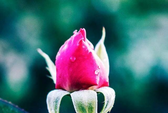 有一种情,叫真情难忘;有一种念,叫一生一世.