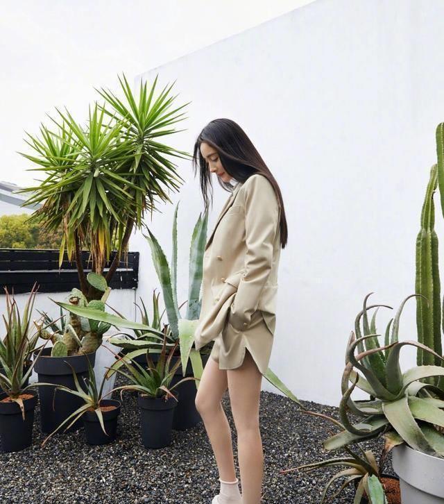 杨幂瘦出新境界了,白衬衫配小黑裤清新自然,小鸟腿细到闭不拢_西装