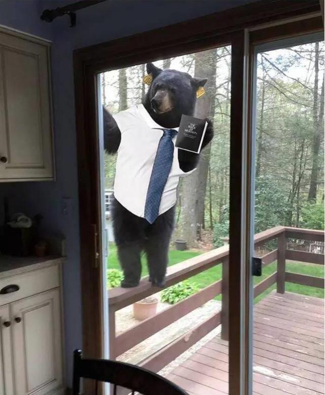 一组顶尖p图高手修改的搞笑图片,最后那张才是真的笑得开心!