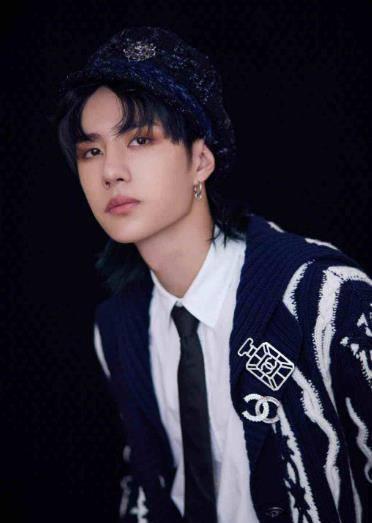 张艺兴白敬亭刘昊然王一博,青出于蓝胜于蓝_杨蓉_程潇_因为