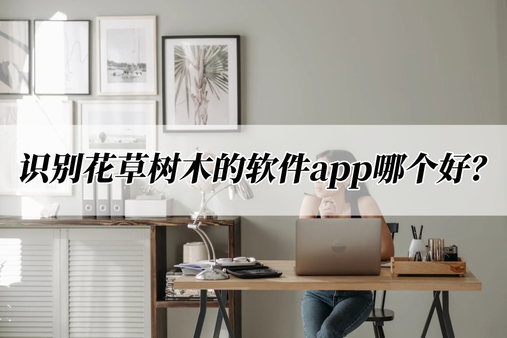 识别花草树木的软件app哪个好?分享这款给你_植物_工具_信息