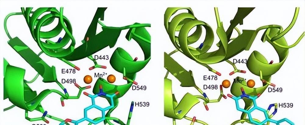 白细胞介素-1家族基因: il1a,il1rn和肥胖参数之间的相互作用
