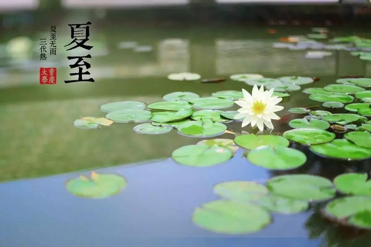 原创            夏至将至，俗话讲“夏至风向知涝旱，夏至晴雨知年景”，是啥意思-夏至凉风起 无尘境在心什么意思
