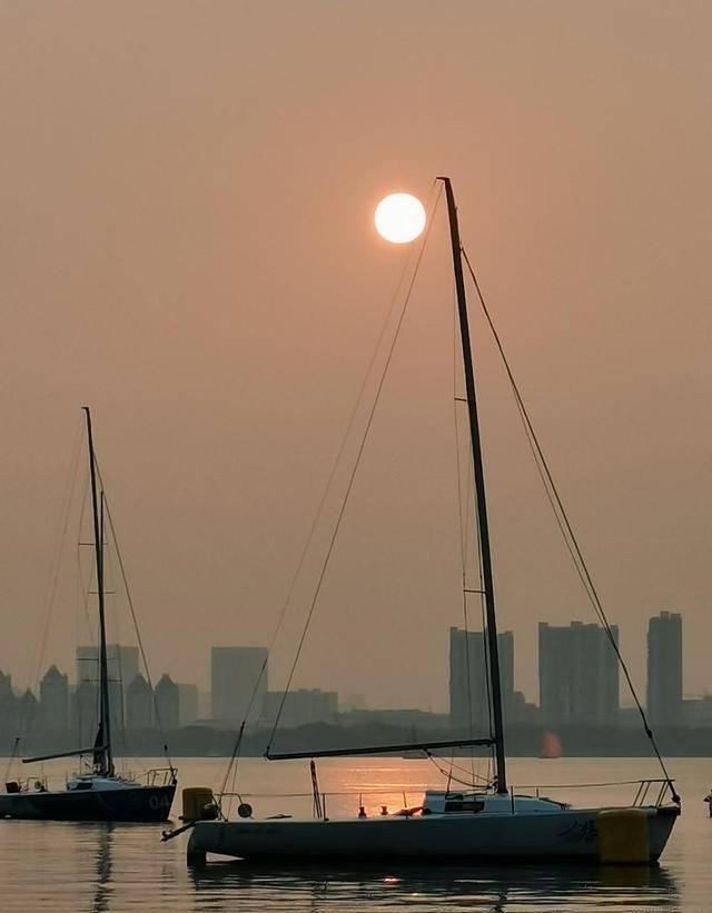 红为丫头雨中求药却不知佛爷为了那三颗药散尽家财_九门_副官_陈皮