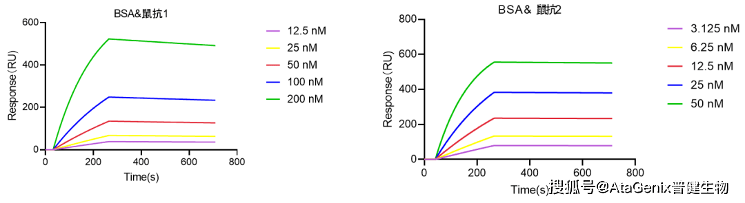 90e-058.61e-11bsa&兔抗6b71.39e 057.49e-065.38e-11bsa&鼠抗12.