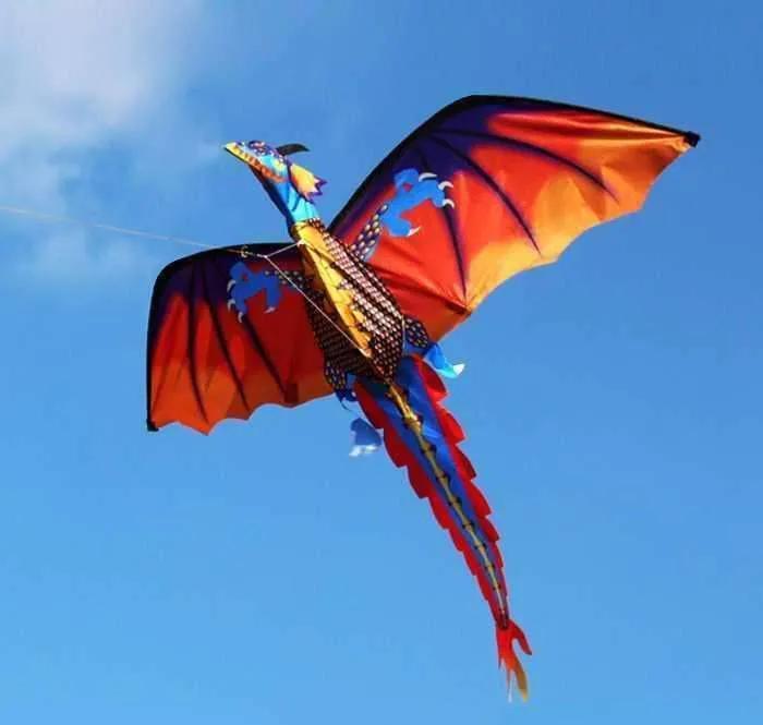 有点意思!鸟的家族聚会!天空船!龙腾飞!鲸鱼的翱翔!