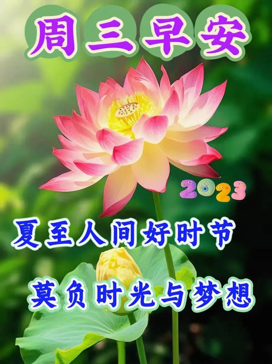 夏至早上好问候祝福图片_真正的朋友_心情_世界