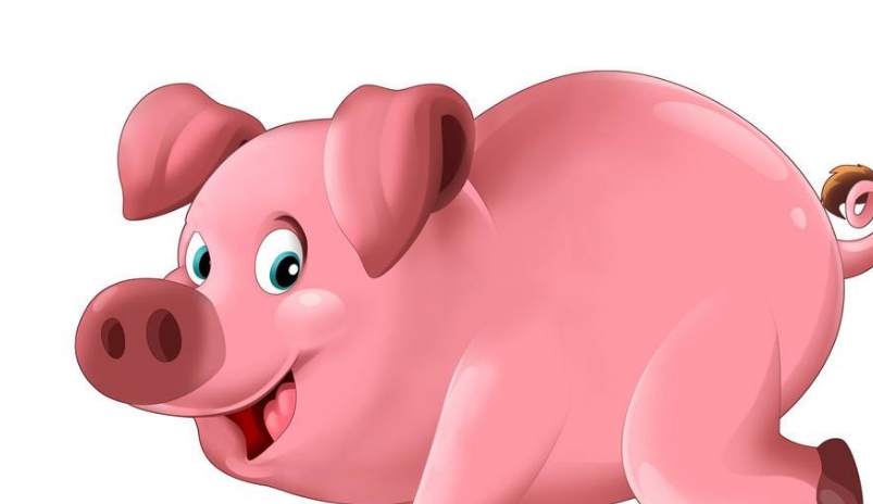 吃过粽子后,属猪的朋友要迎来自己的桃花运了,身边的异性朋友越来越多