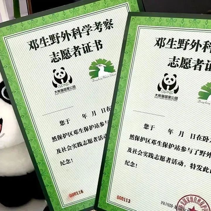 暑假研学 | 国宝守护者大熊猫科考夏令营，招募铲屎官，领取3张证书和科考报告