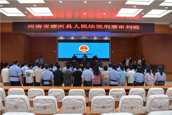 唐河县法院公开宣判一起特大网络婚恋诈骗案_被告人_蔡某_数额