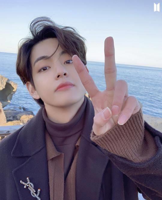 bts海边自拍,金泰亨比v田柾国眉形出众,朴智旻香奈儿耳环太闪_大衣