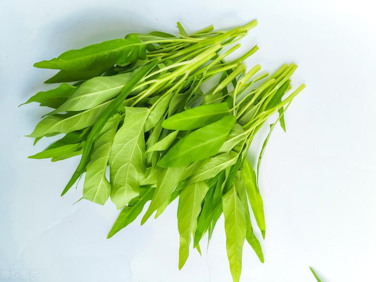 空心菜的功效和作用