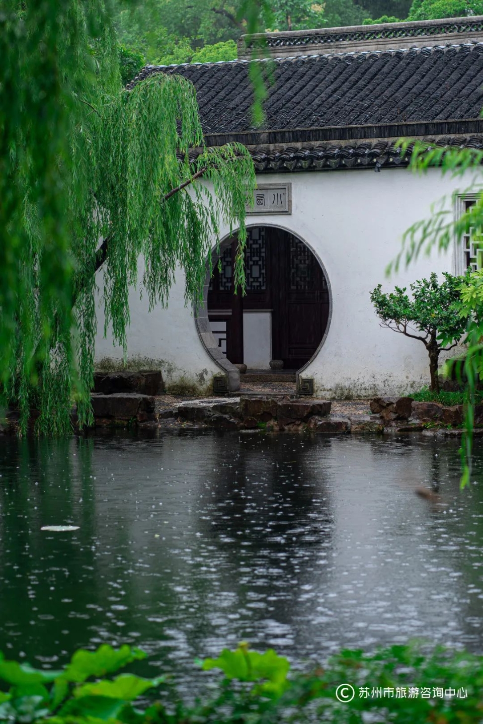 来到苏州,我再也不吐槽梅雨季了_江南_雨水_园林
