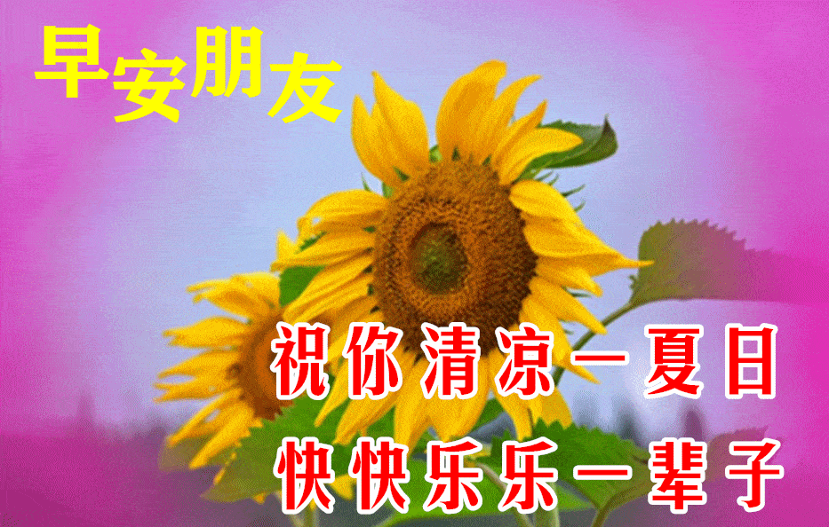 看淡的图片唯美_看淡生活图片_看淡的图片和文字