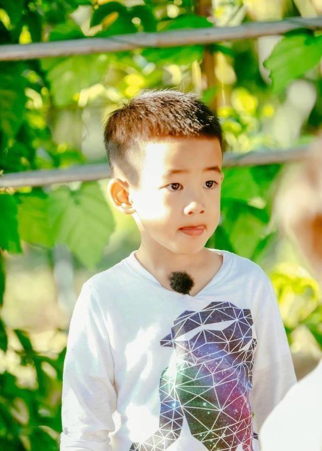 可是jasper确实软萌可爱,让不少人喜欢,谁知道应采儿用网友的话说