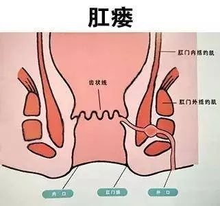 来自搜狐网