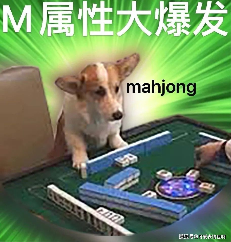 s属性大爆发┃近期热门表情包_支持