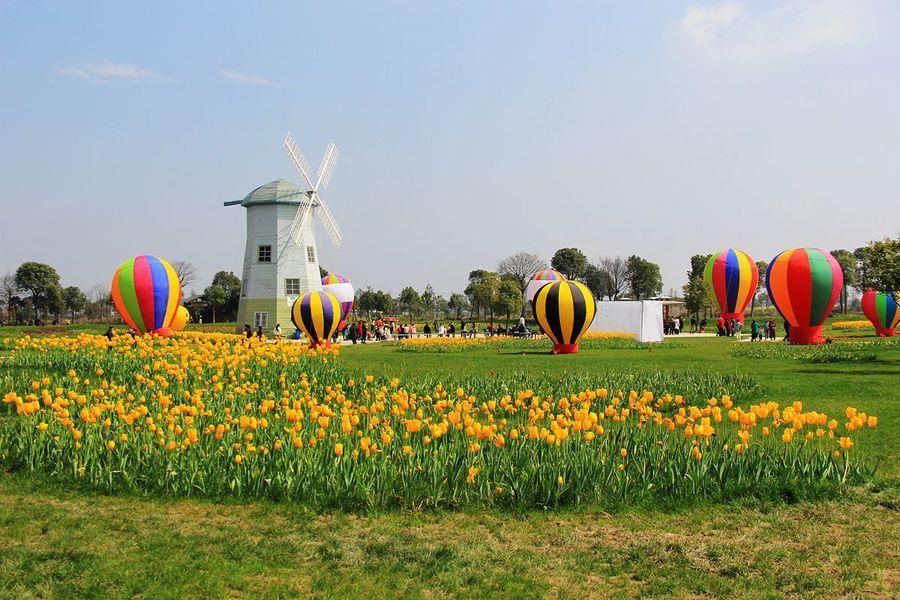 农场规划设计考虑因素,观光农业园区规划,现代休闲农业园区规划_相关