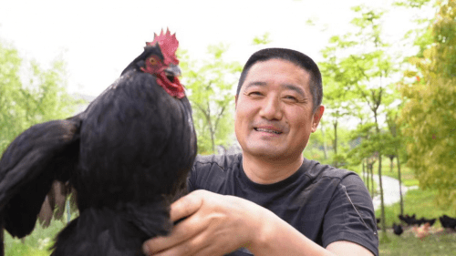 多种经营全面开花 洋口镇南渔村党委带领群众共同致富(图2)