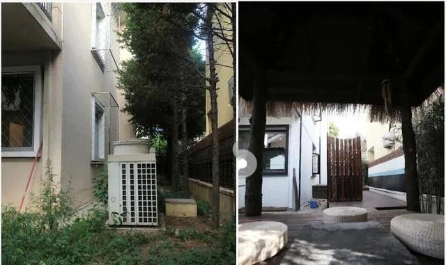 看了黄雅莉的家,我才明白:为什么有些人永远不会老_生活_张允和_工作