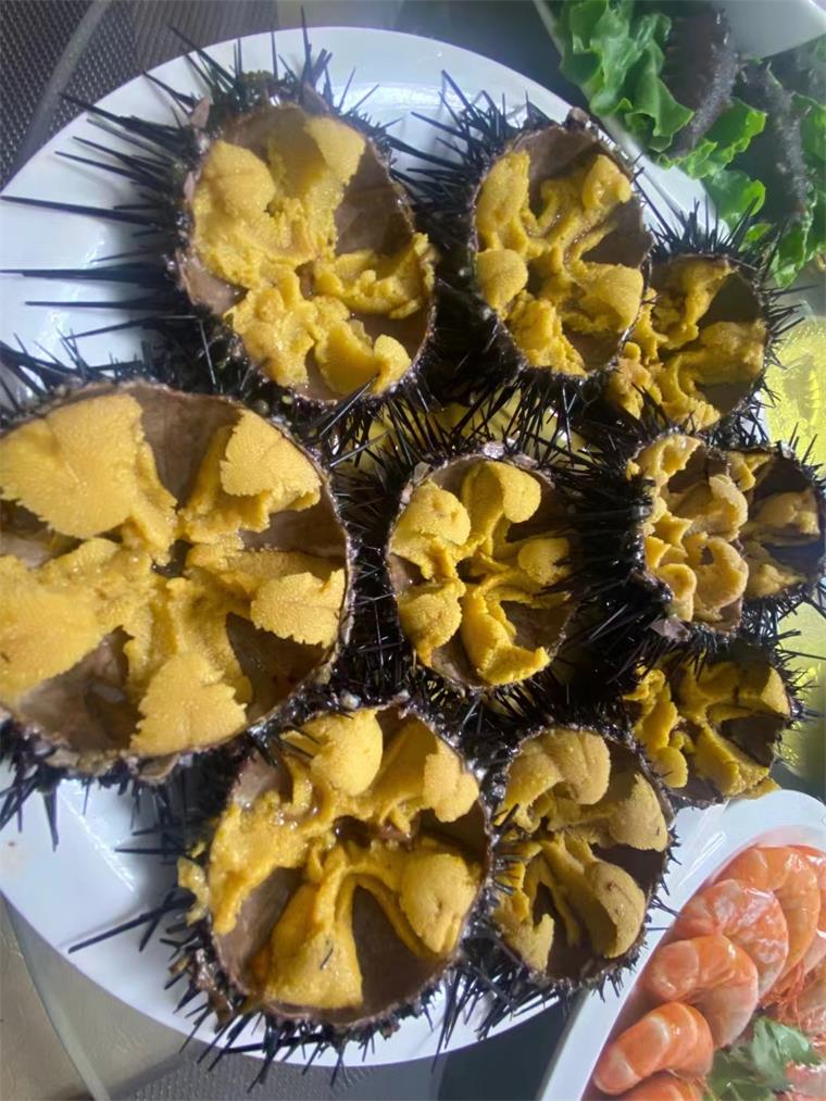 辽宁大连长海獐子岛新金港酒店,老字号渔家院,海鲜大咖真鲜灵!