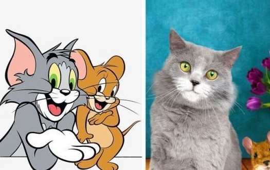 动画片中的角色，“猫和老鼠”之神的化身，小猪佩奇的化身