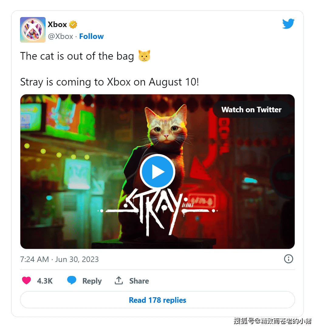 Stray traz sua aventura repleta de felinos ao Xbox em agosto - Adrenaline