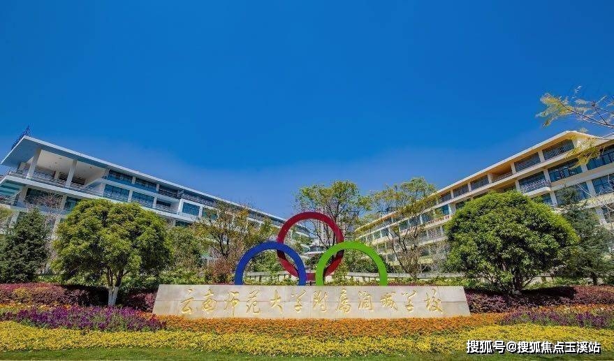 项目_配套_服务