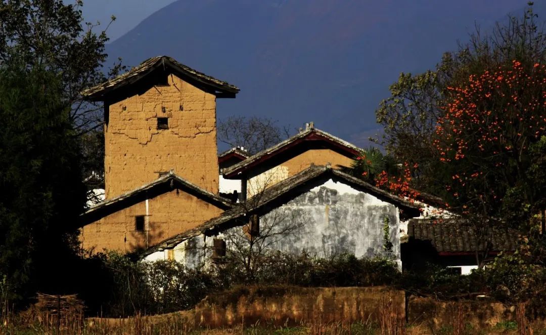 龚天健《申果庄大熊猫》孙建生《苹果产业园》范晓宇《阳糯雪山》王平