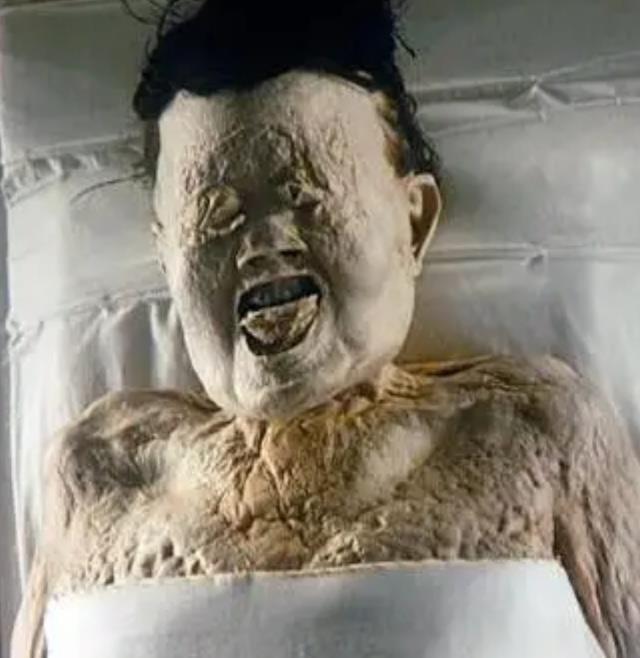 而是此物_历史_辛追夫人_身体