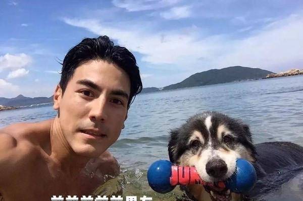 萧亚轩有什么魅力,能够成为鲜肉收割机呢?