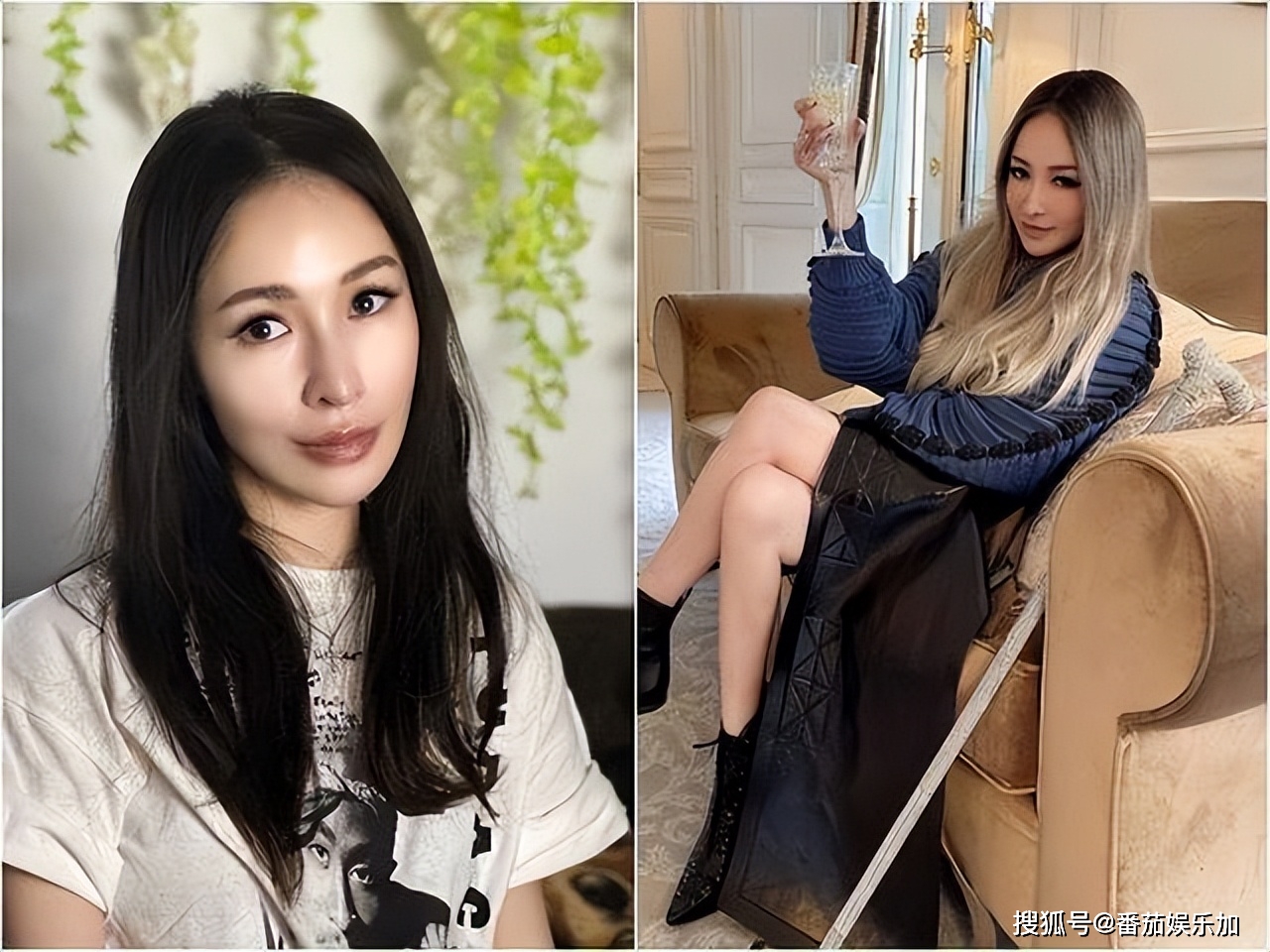 评论区炸翻了_网友_直播_专辑