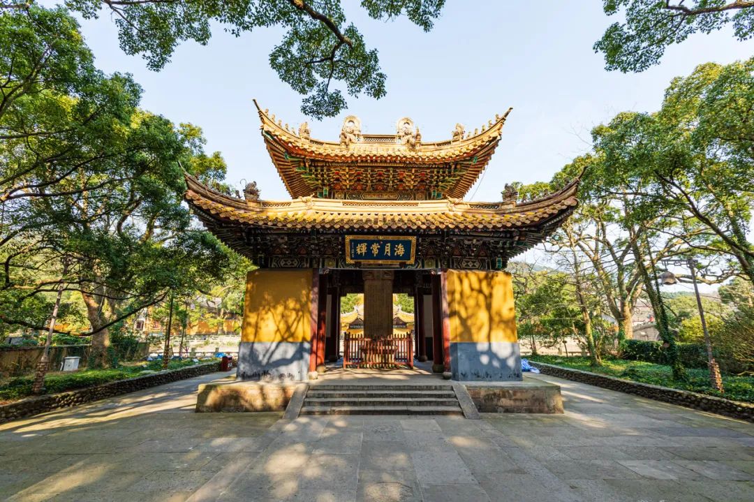 这或许也是导游普陀山小庄备受欢迎的原因——他切身感受到这些到普陀