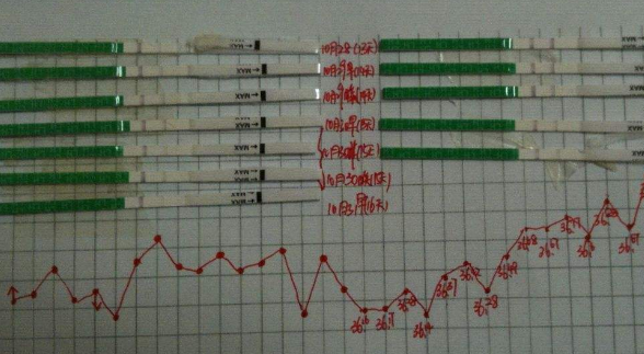 不要告诉别人（验孕棒倒可乐的反应）验孕棒倒着放结果准吗 第5张