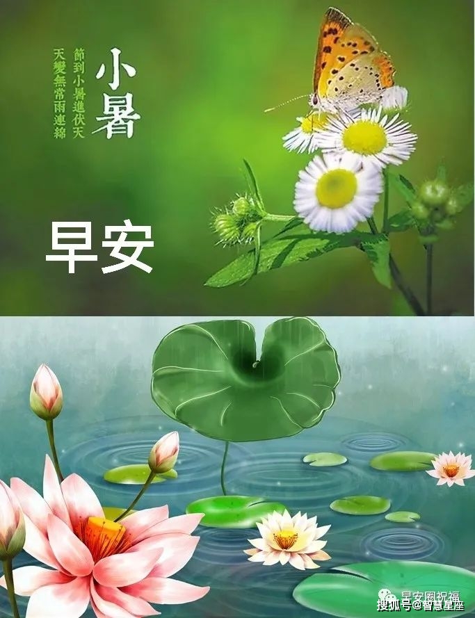 小暑节气祝福语图片图片