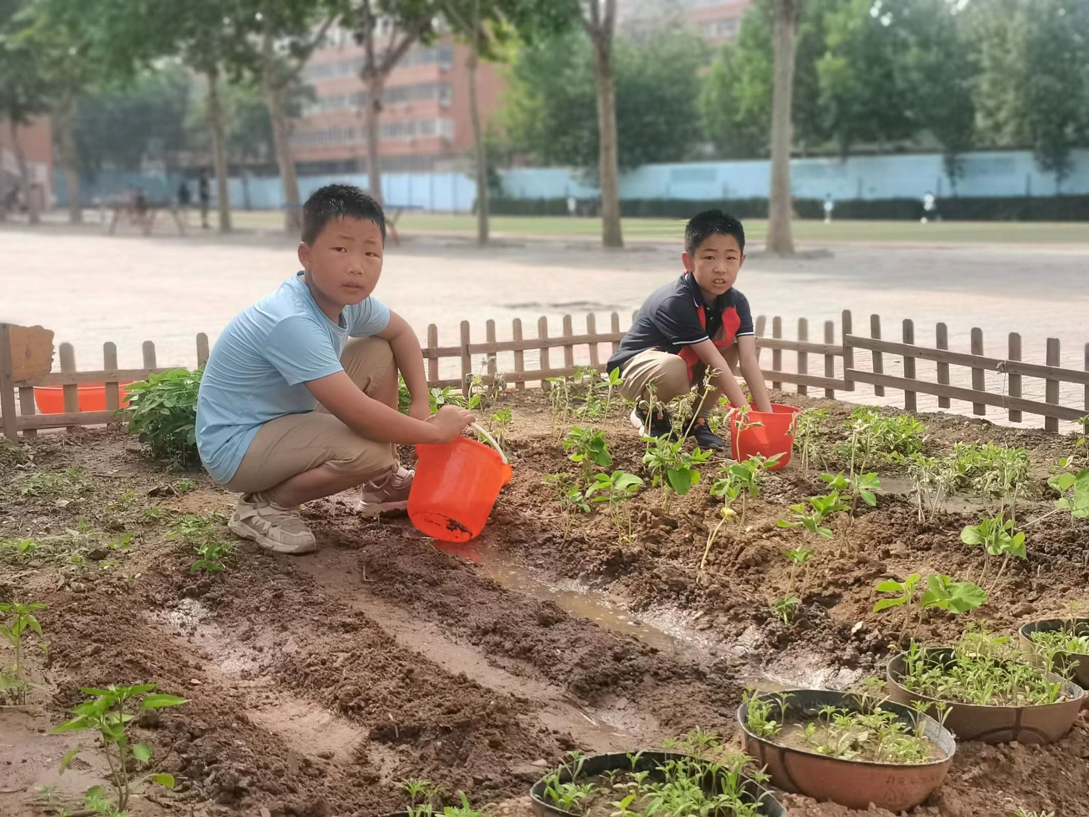 吕云涛摄此次活动让学生们懂得了"劳动最光荣"的道理,体会劳动真正的