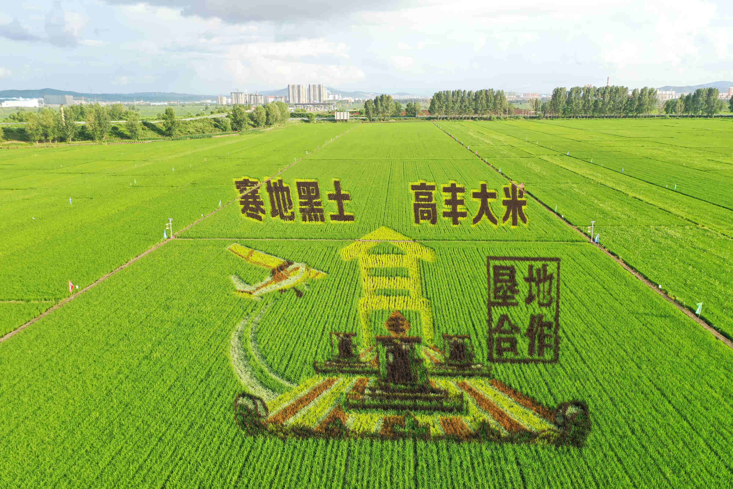 黑龙江集贤县推动文旅产业融合发展_抗联_红色_湿地