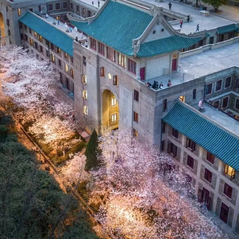 中国大学之"最"合辑!快来pick你的心动院校!_艺术_设计_本科