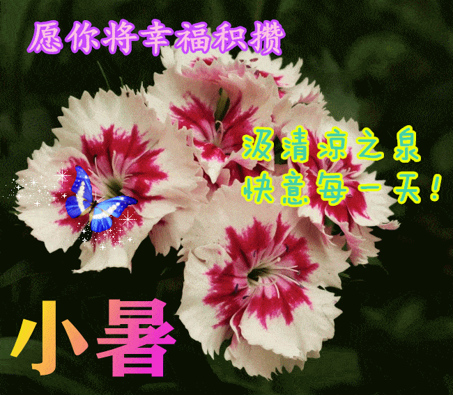 小暑清晨漂亮好看的早上好动态祝福美图鲜花带字,夏日早晨好幸福暖心