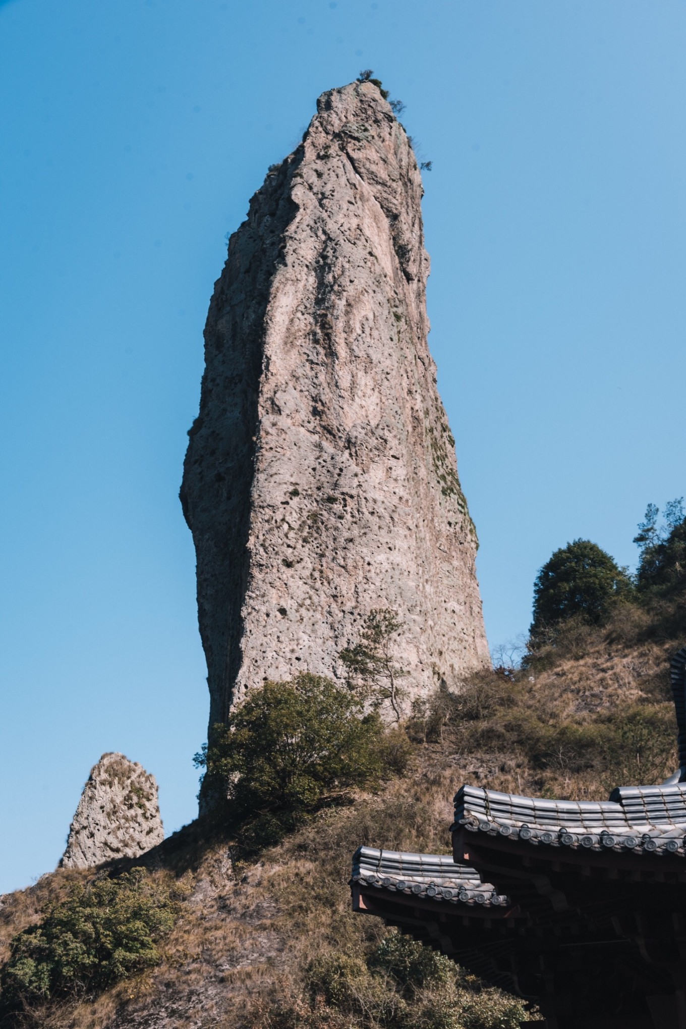 欢乐颂柳东来 孤峰擎天