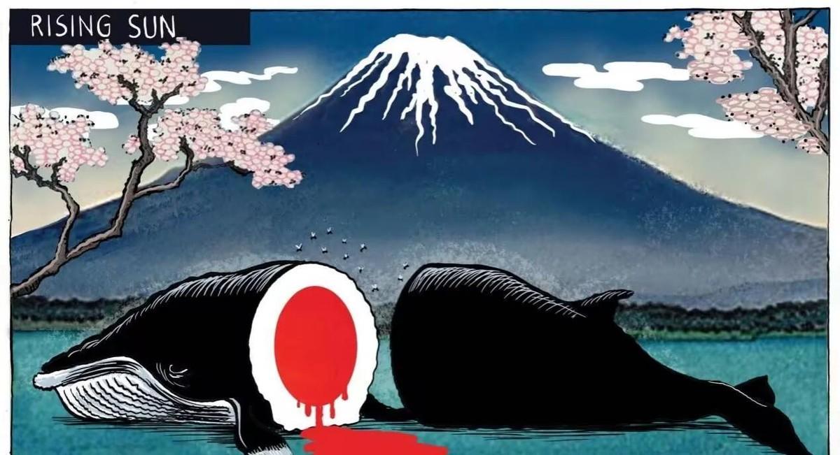 在当今世界,捕鲸已经是一个极具争议性的话题.