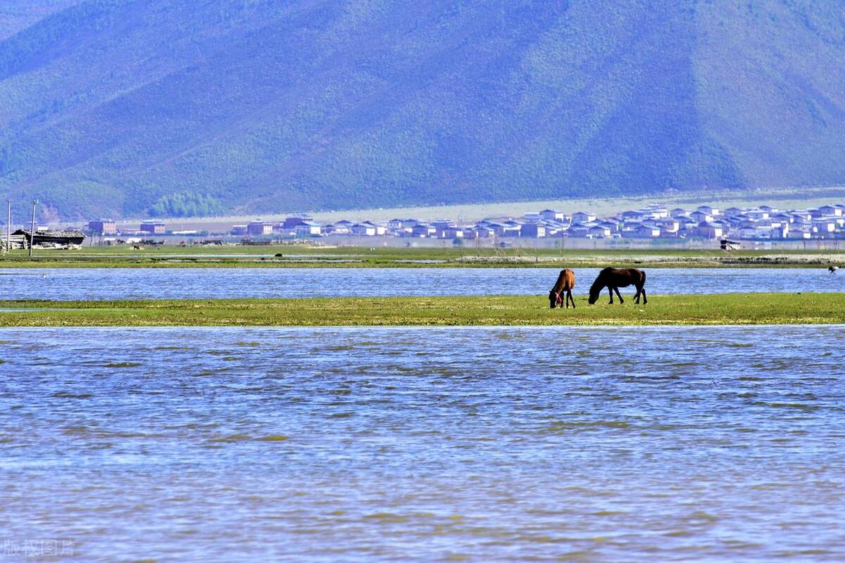 香格里拉的景点（迪庆香格里拉最值得去的19个地方）-图9