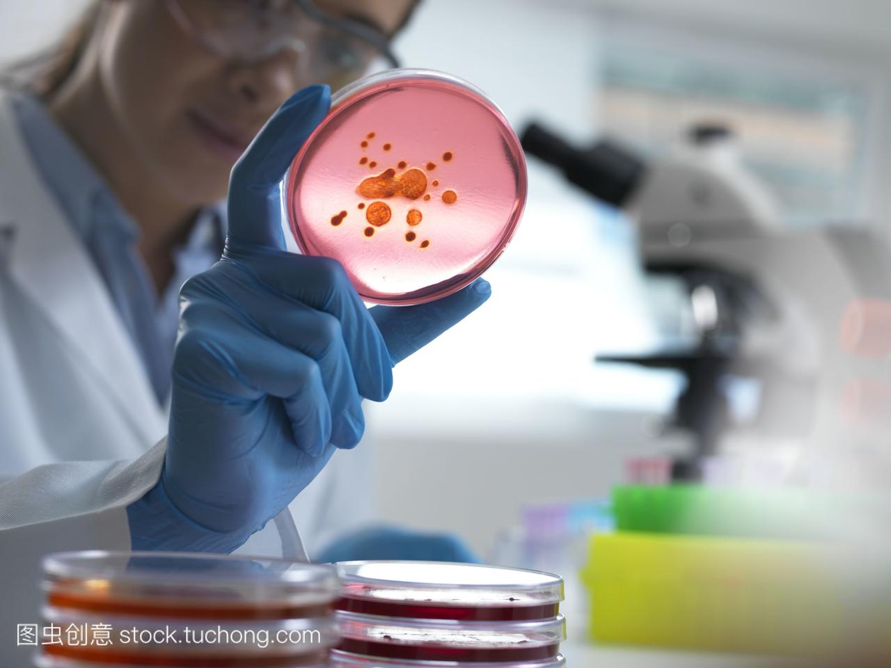 怎么报考微生物检验员证书？在哪考？证书报考条件高吗？含金量？