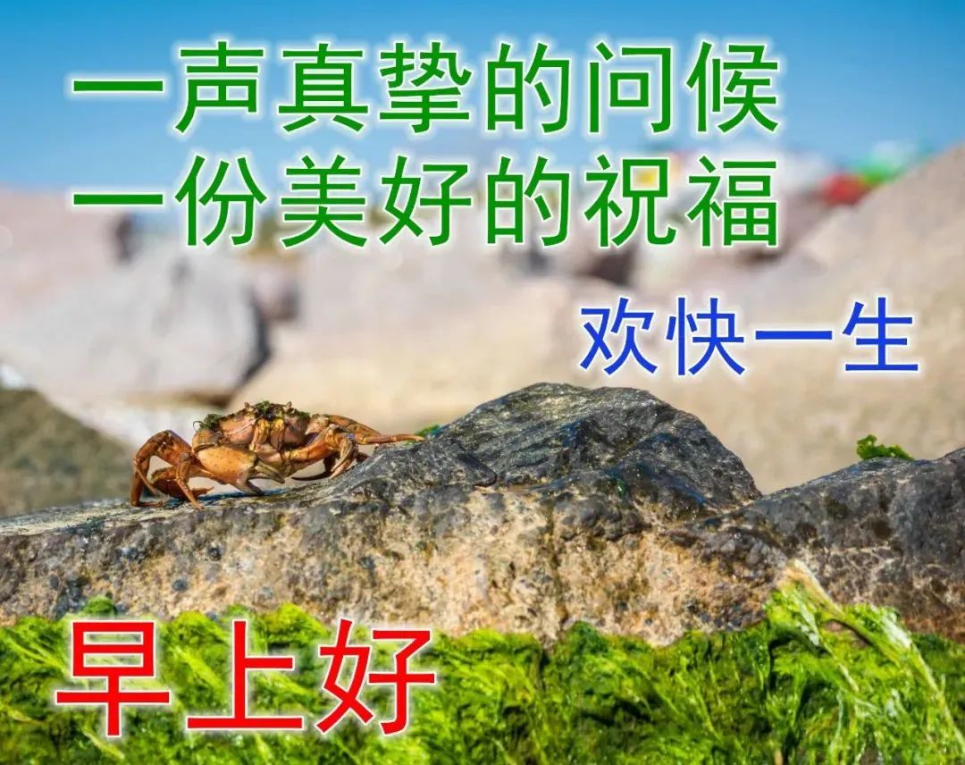 8張最美夏日風景早安圖片帶字帶祝福語 好看的夏天風景早上好問候祝福