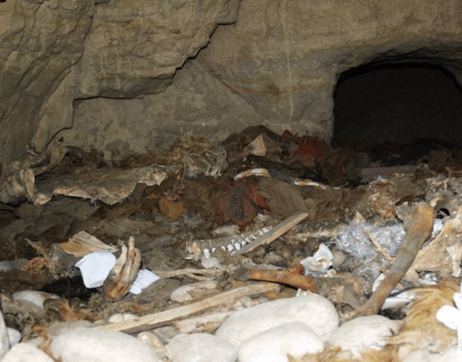 地上有彻底风化的无头干尸,还有阴森森的人骨.