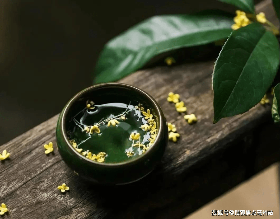 绿城品牌故事 | 桂花与月亮之谜_资料_宋卫平_亳州