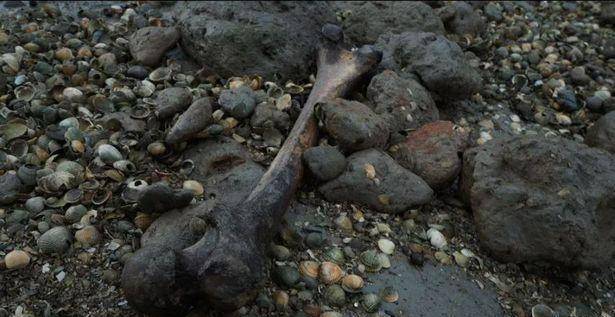 英国"死人岛"尸横遍野,电视台工作人员去过后,称会经常做噩梦_尸体