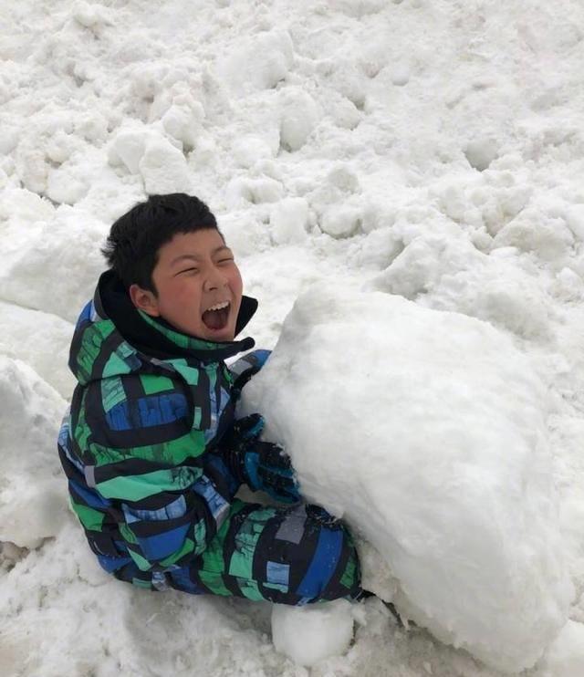 11歲的石頭在雪地撒歡,表情誇張讓人逗笑_網友_雪球_兒子