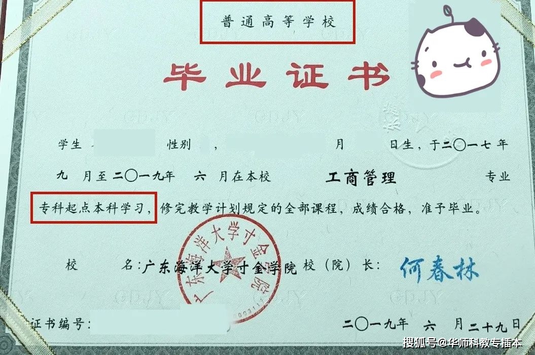 统招大学毕业证图片